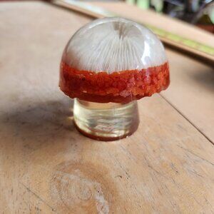 Handmade UV Reactive Mushroom Paperweight Orange & Clear Lucite Coral Resin Acry